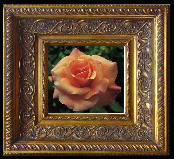 framed  unknow artist Still life floral, all kinds of reality flowers oil painting  257, Ta078